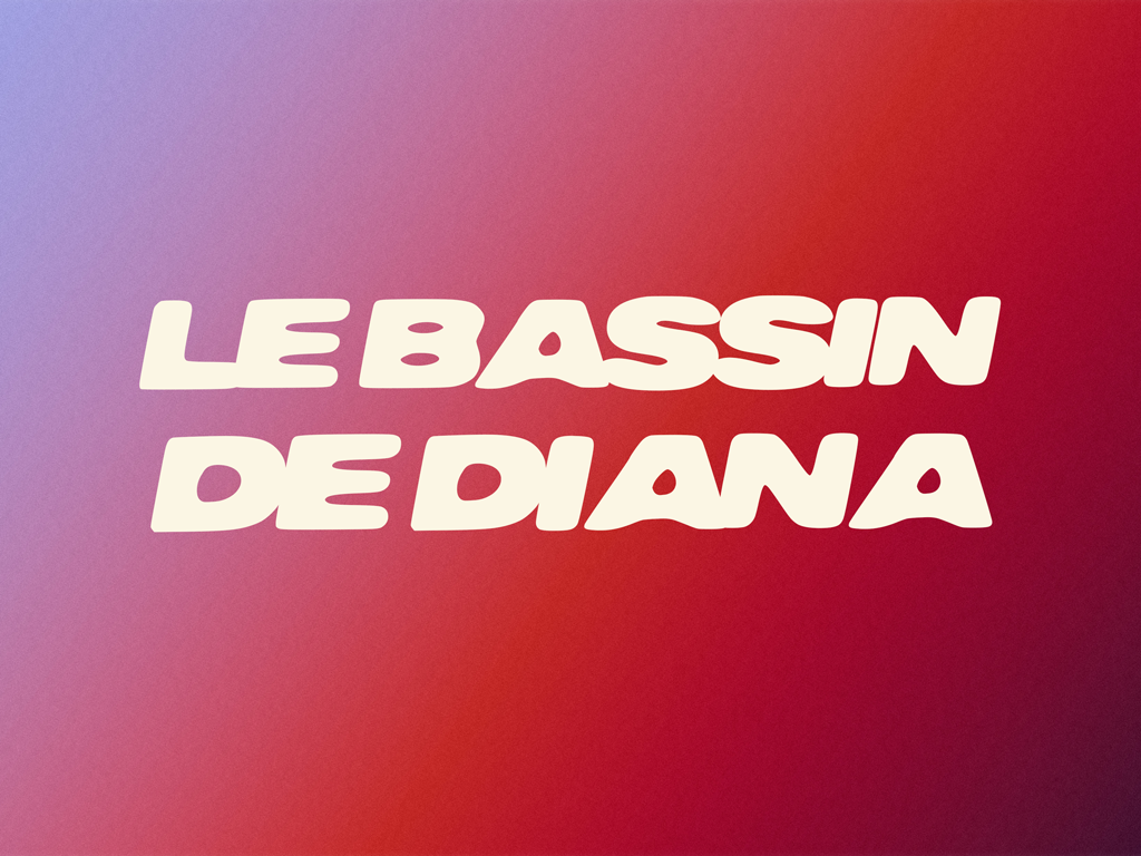 Carmel Loanga, Le Bassin de Diana (visuel temporaire)